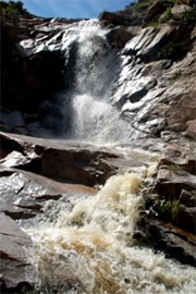 Arizona Waterfall