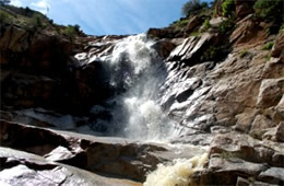 Arizona Waterfall