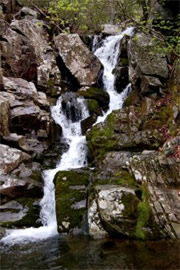  Waterfall in Shenandoah National Park