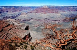 Grand Canyon