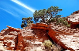 Sedimentary Rock at Grand Canyon