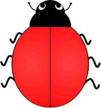 Lady Bird Beetle Zero Spots