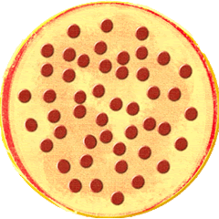 whole pizza