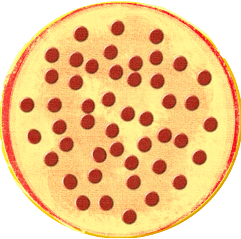 pizza fractions clipart - photo #50