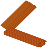 Centriole Pair