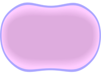 Membrane and Cytoplasm at Anaphase