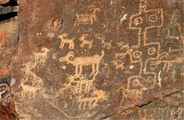 Hohokam Petroglyphs