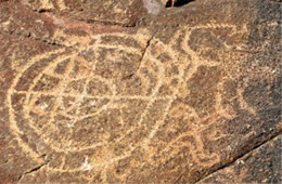 Hohokam Petroglyphs