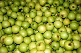 Green Apples