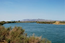 Colorado River at I-10