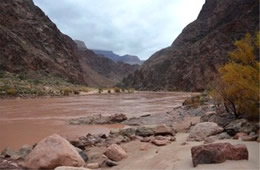 Colorado River in the Grand Canyon