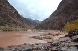 Colorado River in the Grand Canyon