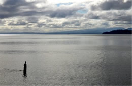 Columbia River at Astoria