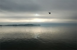 James River in the Early Morning