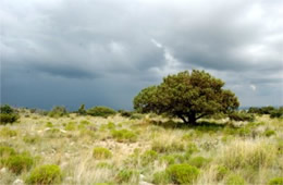 Approaching Storm