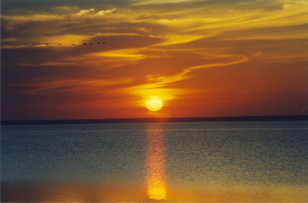 currituck sound sunset