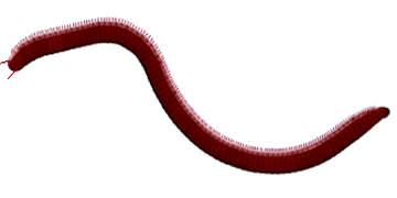 Millipede