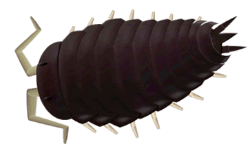 Pill Bug