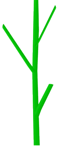 Plant Stem Drawing