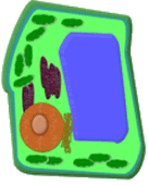 plant cell