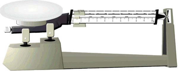 Triple Beam Balance