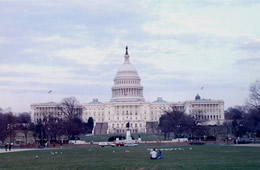 united states capitol building