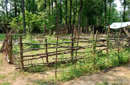 henricus settlement garden