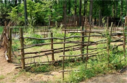 henricus settlement garden