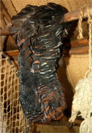 feathers inside native american longhouse