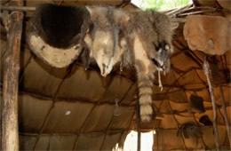 native american longhouse