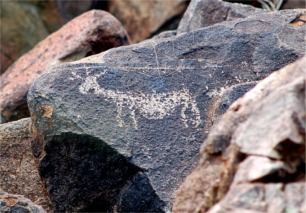 Hohokam Petroglyphs