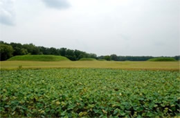 Mississippian Indian Mounds