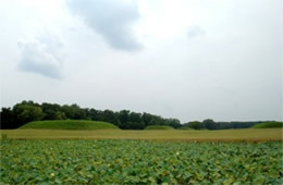 Mississippian Indian Mounds