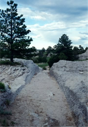 oregon trail ruts