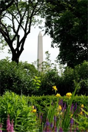 Washington Monument