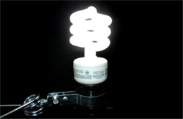 Compact Fluorescent Bulb