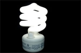 Compact Fluorescent Bulb