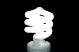 Compact Fluorescent Bulb