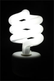 Compact Fluorescent Bulb