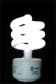 Compact Fluorescent Bulb