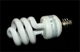 Compact Fluorescent Bulb