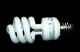 Compact Fluorescent Bulb