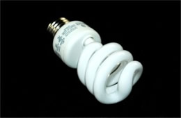 Compact Fluorescent Bulb