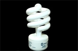 Compact Fluorescent Bulb