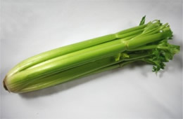 Celery