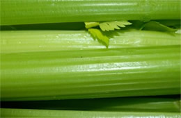 Celery