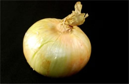 Onion - Black Background