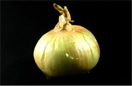 Onion - Black Background