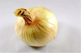 Onion - White Background