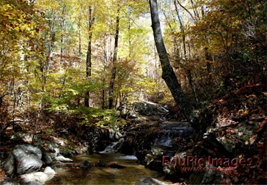 Mountain Stream Desktop